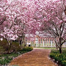 Схема вышивки «весна пршла»