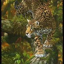 Схема вышивки «леопард»