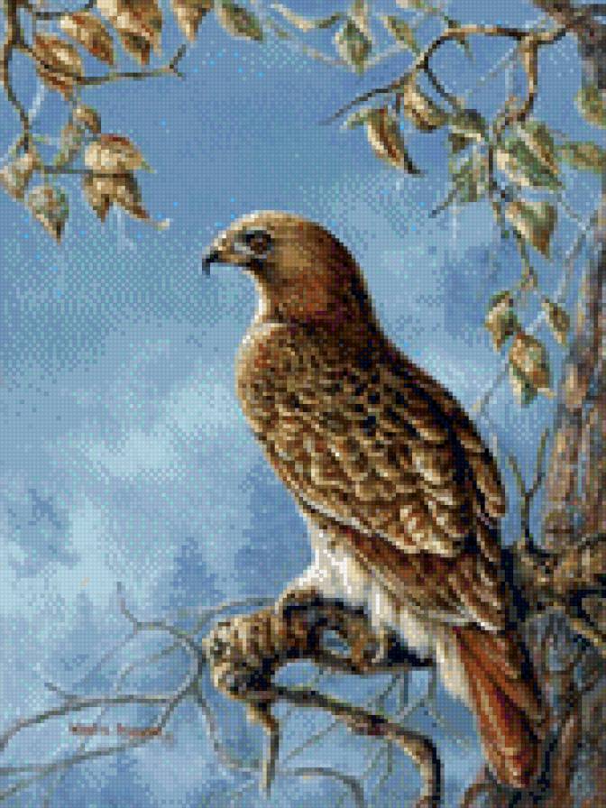 0225 - красота, природа, сокол, картина, птицы, живопись - предпросмотр