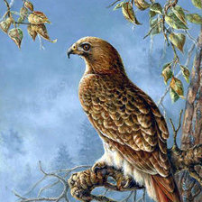 Схема вышивки «0225»