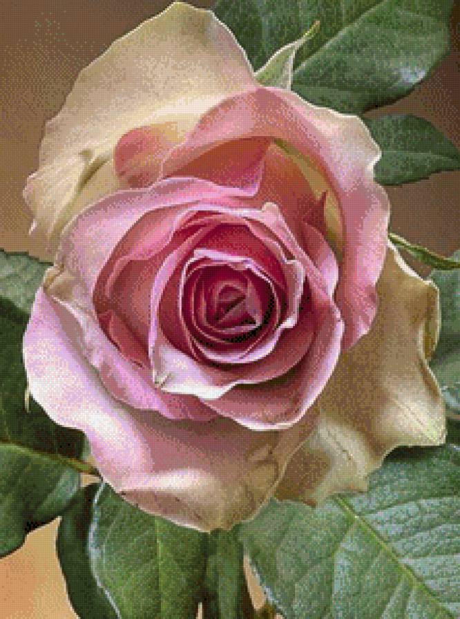 №992475 - предпросмотр