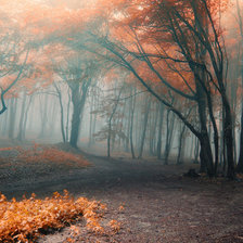 Схема вышивки «Туманная осень»