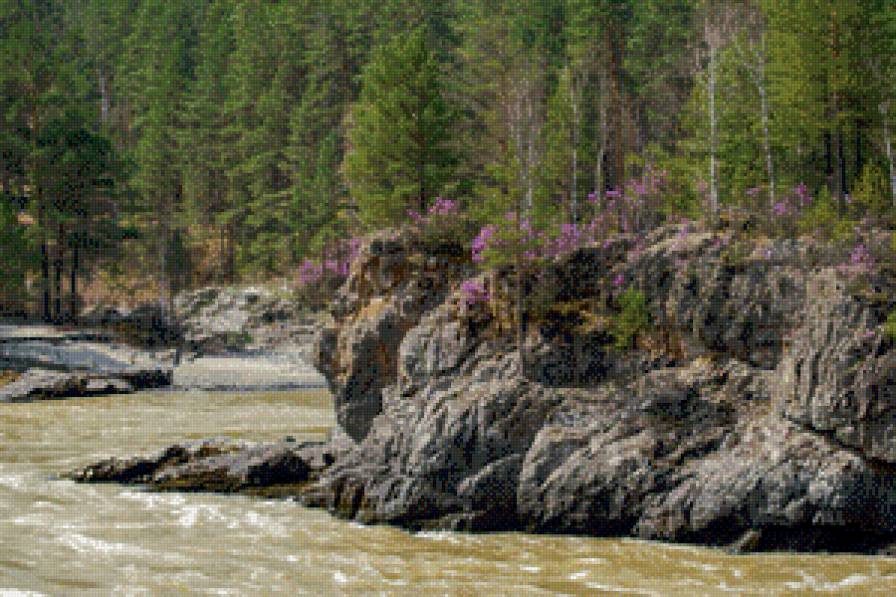 горная река - маральник, катунь, горы, река - предпросмотр