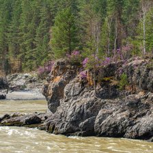 горная река