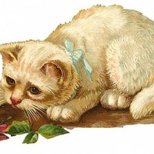 Схема вышивки «Котенок и роза»