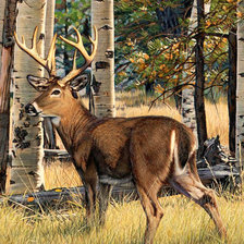 Схема вышивки «Серия "Лесные жители" Красавец олень"»