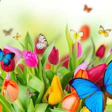 Схема вышивки «Тюльпаны»