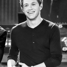 Схема вышивки «Найл»