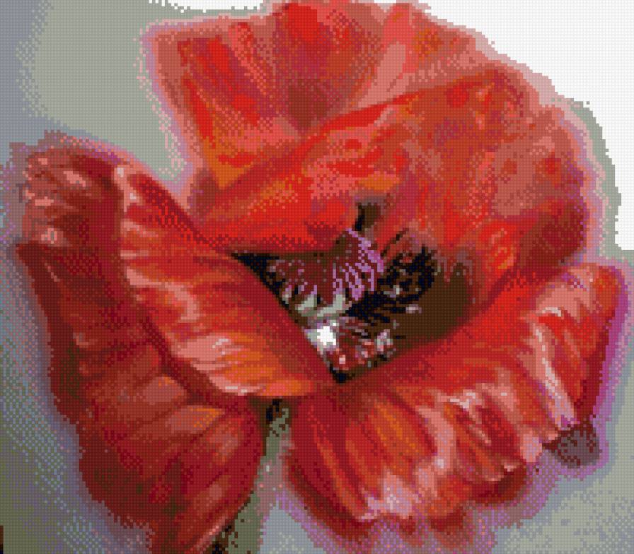 мак - мак - предпросмотр