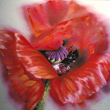 Схема вышивки «мак»