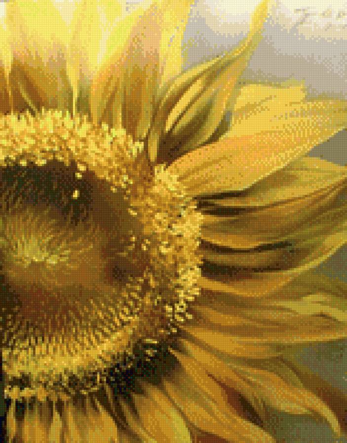 подсолнух - цветы - предпросмотр