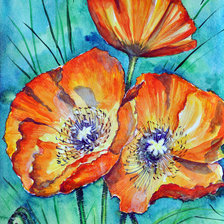 Схема вышивки «маки»