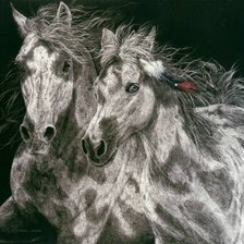 Схема вышивки «Judy Larson»