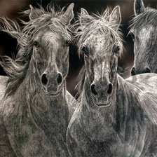 Схема вышивки «Judy Larson»