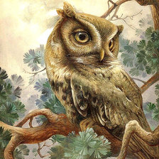 Схема вышивки «Серия "Пернатые"»