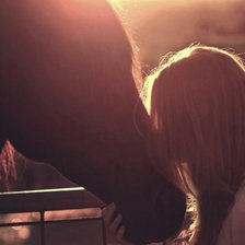 Схема вышивки «Нежность»