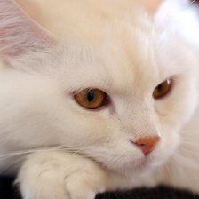 Схема вышивки «1»