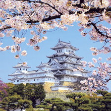 Схема вышивки «химедзи_3»