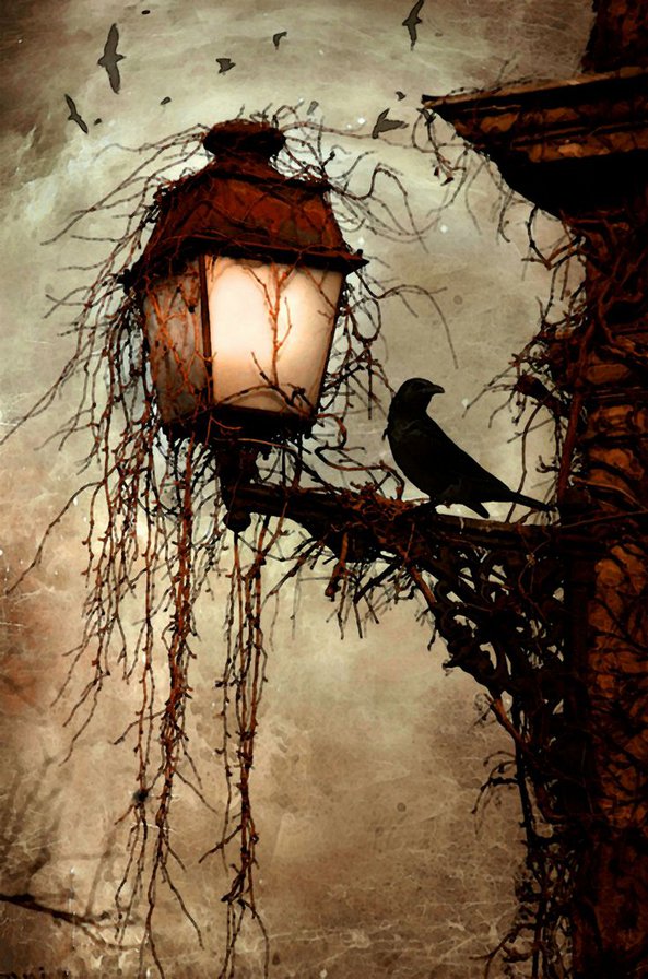 Мир Эдгара По - ворона, фонарь, вечер, готика - оригинал
