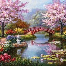 сакура у пруда парк