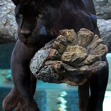 Схема вышивки «я тут полежу»