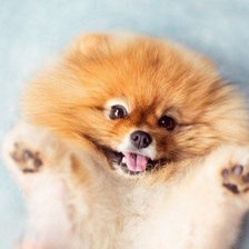 Схема вышивки «милаха»