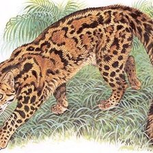 Схема вышивки «мраморная кошка»