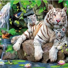 Схема вышивки «Белый тигр»