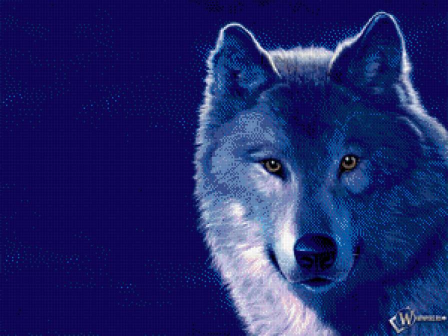 волчица - предпросмотр