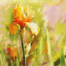 Схема вышивки «Ирис жёлтый»