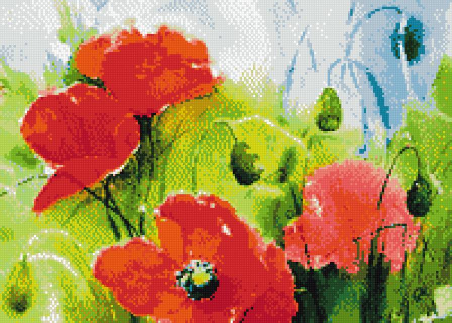 акварельные маки - маки - предпросмотр