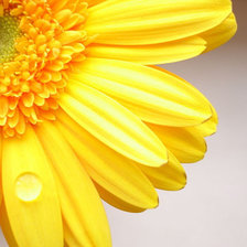 Схема вышивки «Цвет позитива. Желтый.»