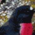 Предпросмотр схемы вышивки «птицы» (№994974)