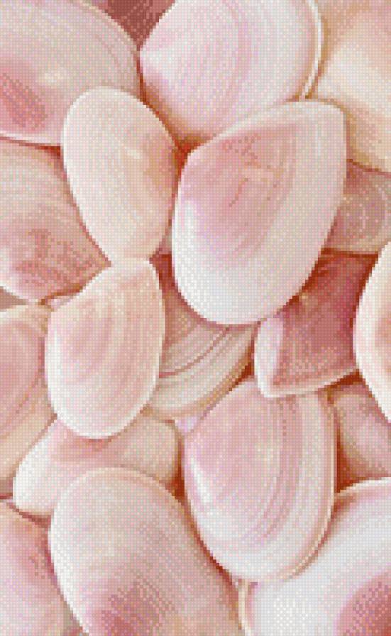 воспоминание о море - ракушки, море - предпросмотр