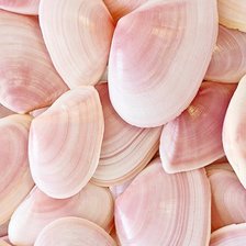 Схема вышивки «воспоминание о море»