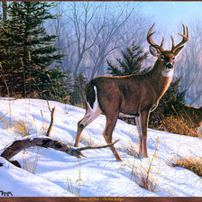 Схема вышивки «олени»