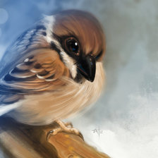 Схема вышивки «Воробышек»