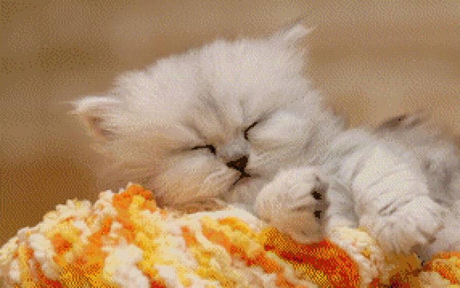 Пушистик - котенок, сон - предпросмотр