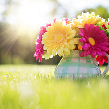 Схема вышивки «Поляна Герберы»