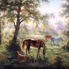 Схема вышивки «на лугу»