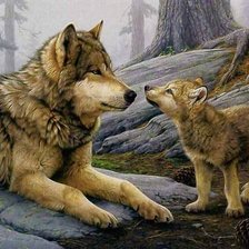 Схема вышивки «в мире животных»