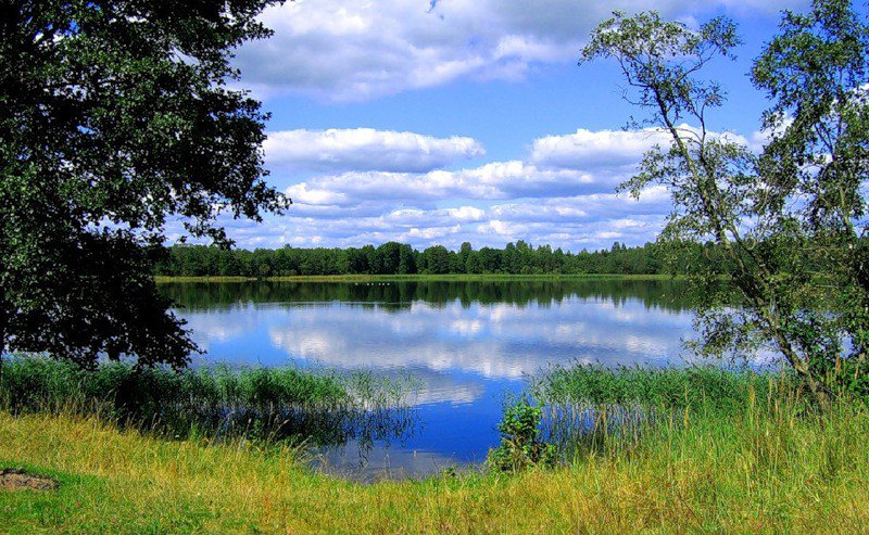 Летняя тишина - пейзаж. природа. река - оригинал