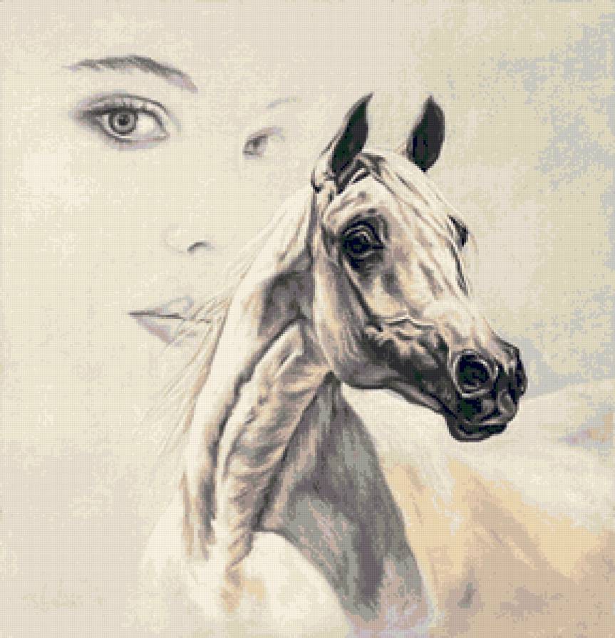 Девушка и лошадь - дквушка, лошадь. конь - предпросмотр