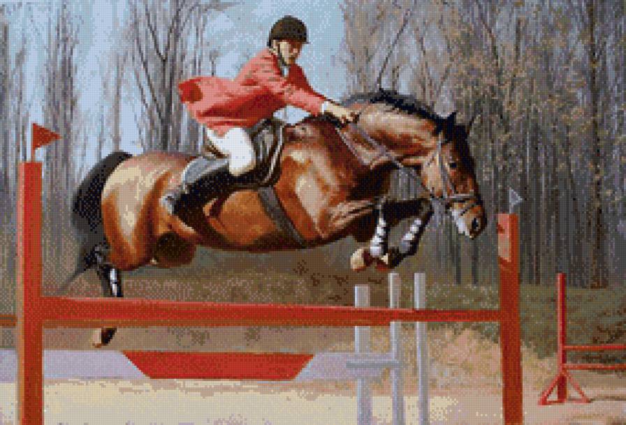 Конкур. Прыжок. - всадник, лошадь, прыжок, конкур - предпросмотр