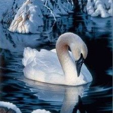 Схема вышивки «лебедь»