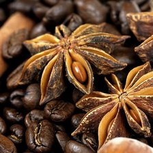 Схема вышивки «Аромат специй»