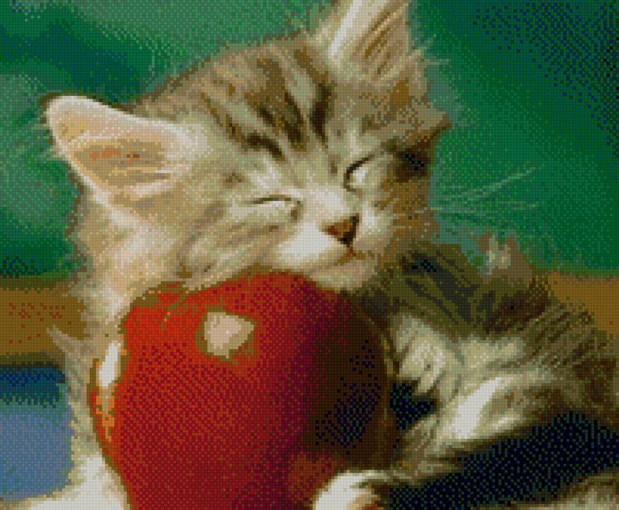 котенок - сон, кошки, нежность - предпросмотр