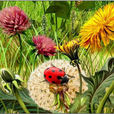 Схема вышивки «Летнее настроение. Луговые травы.»