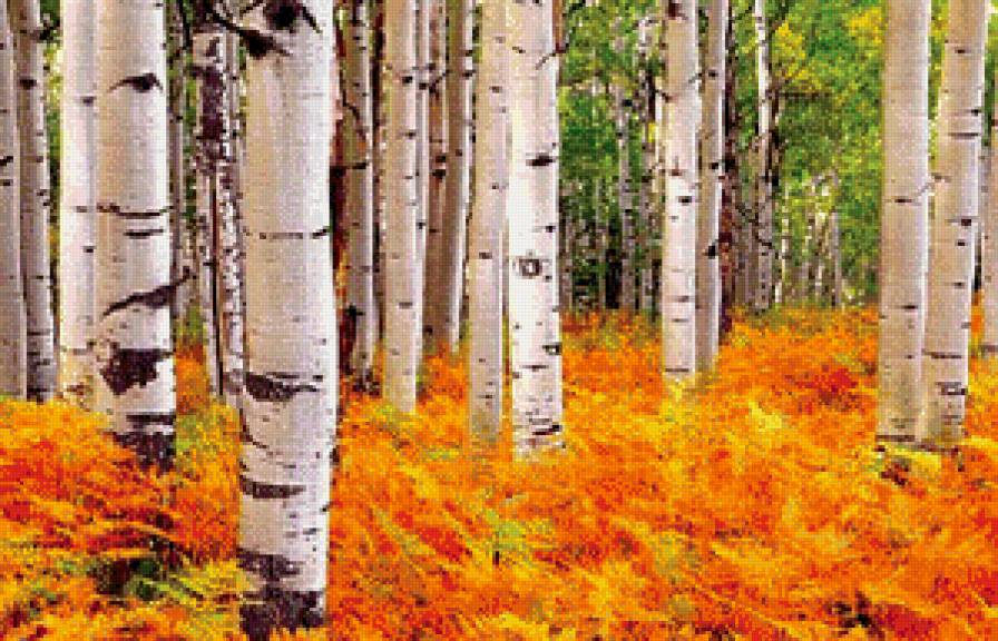 осень золотая - предпросмотр