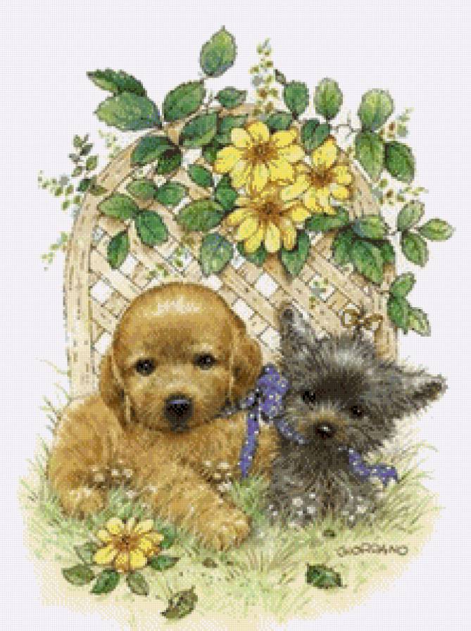 серия "собаки" - животные. собаки - предпросмотр